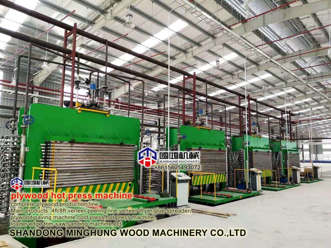 Customized Hydraulic Hot Press Machine with Thick Hot Platen for Plywood Making